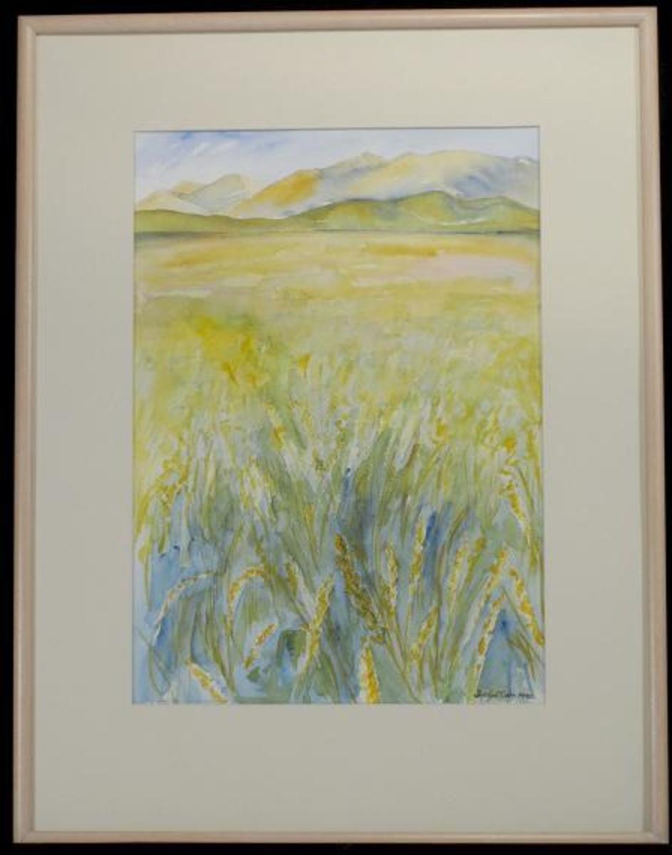 Canterbury wheat fields